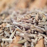 Cumin (Jeera / Jeeraka) - Fruits / Seeds