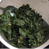 Drumstick Tree (Moringa / Horseradish Tree) - Leaves