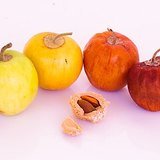 Indian Jujube (Ber / Badari) - Fruits / Seeds
