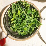 Fenugreek (Methi / Methika) - Leaves