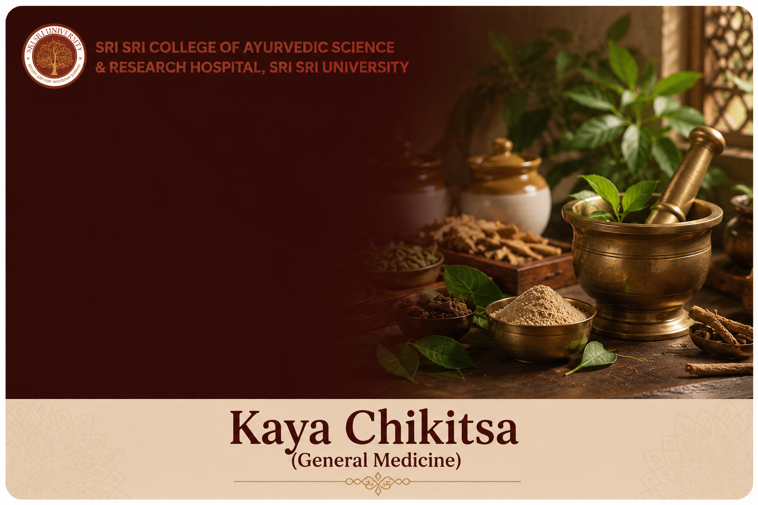 Kaya Chikitsa